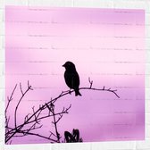 Muursticker - Silhouet van een Klein Vogeltje tegen Paarskleurige Lucht - 80x80 cm Foto op Muursticker