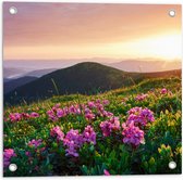Tuinposter – Roze Bloemen op de Bergen van Landschap tijdens Zonsopkomst - 50x50 cm Foto op Tuinposter (wanddecoratie voor buiten en binnen)