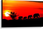Canvas - Silhouet van Familie Olifanten Lopend over Afrikaans Landschap - 90x60 cm Foto op Canvas Schilderij (Wanddecoratie op Canvas)