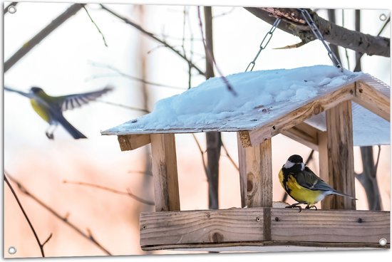 Tuinposter – Koolmeesje in Vogelhuisje op Winterse Dag - 105x70 cm Foto op Tuinposter (wanddecoratie voor buiten en binnen)