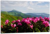Tuinposter – Roze Bloemenstruik met Uitzicht over Berggebied - 120x80 cm Foto op Tuinposter (wanddecoratie voor buiten en binnen)