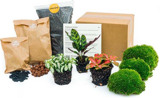 Planten terrarium pakket - Calathea Lancifolia - 3 terrarium planten - Startpakket - Navulling - DIY Ecosysteem Planten Set | Inclusief Planten - Substraat - Terrarium potgrond - Bolmos - Actieve kool - Handleiding en tips | urbanjngl