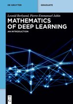 De Gruyter Textbook- Mathematics of Deep Learning