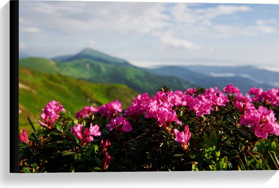 Canvas - Roze Bloemenstruik met Uitzicht over Berggebied - 60x40 cm Foto op Canvas Schilderij (Wanddecoratie op Canvas)