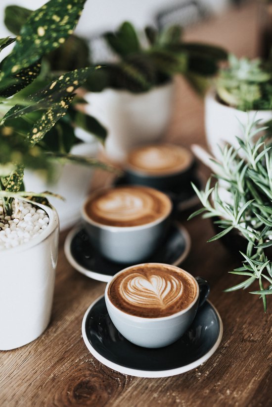 Café Poster - Café Art - Plant Poster - 51x71 - Convient pour l'encadrement