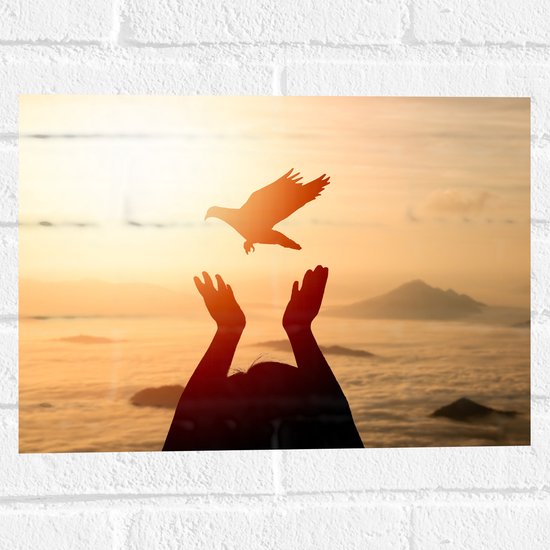Muursticker - Vrijgelaten Vogel uit Mensen Handen bij de Zee tijdens Felle Zon - 40x30 cm Foto op Muursticker