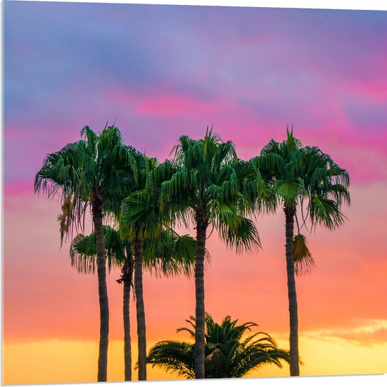 WallClassics - Acrylglas - Palmbomen met Kleurrijke Lucht - 80x80 cm Foto op Acrylglas (Met Ophangsysteem)