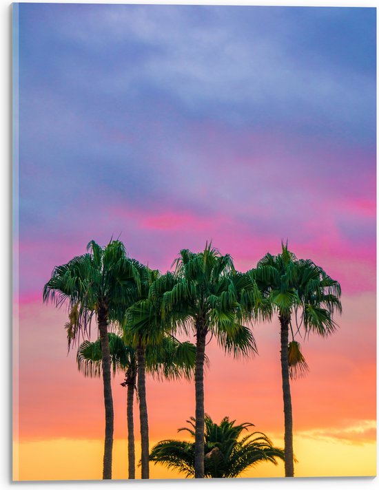 WallClassics - Acrylglas - Palmbomen met Kleurrijke Lucht - 30x40 cm Foto op Acrylglas (Wanddecoratie op Acrylaat)