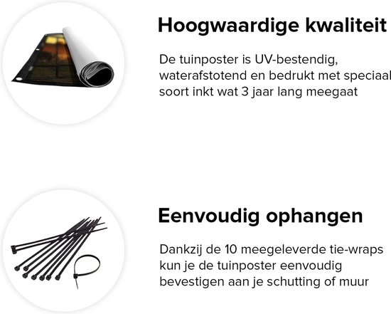 Gards Affiche de jardin Troupeau de vaches en pâturage au coucher du soleil - 150x100 cm - Toile jardin - Décoration de jardin - Décoration murale extérieur - Tableau jardin