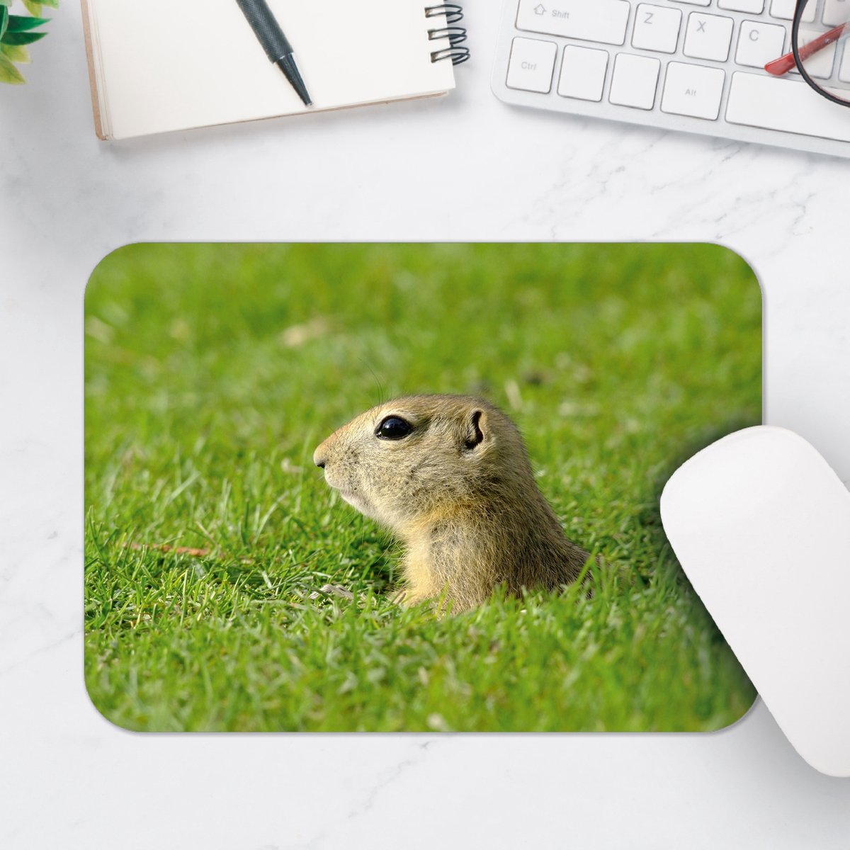 Muismat - Baby Goffer Komt uit de Grond - 25x18 cm - 2 mm Dik - Muismat van Vinyl