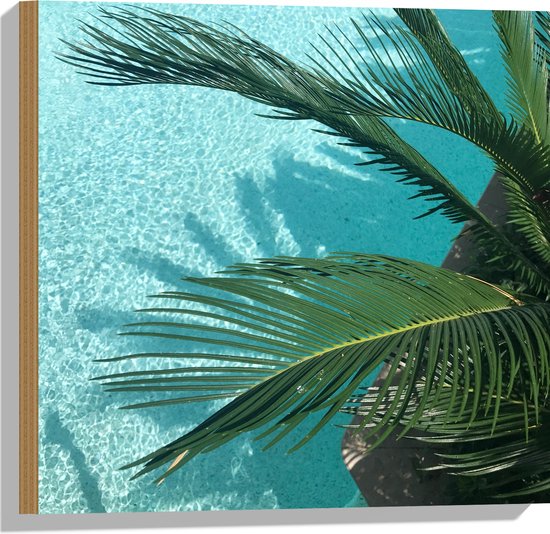 WallClassics - Hout - Palmbladeren Hangend boven Zwembad - 50x50 cm - 9 mm dik - Foto op Hout (Met Ophangsysteem)