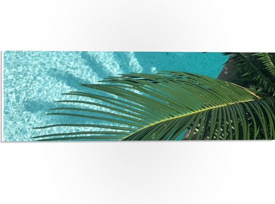 WallClassics - PVC Schuimplaat- Palmbladeren Hangend boven Zwembad - 60x20 cm Foto op PVC Schuimplaat