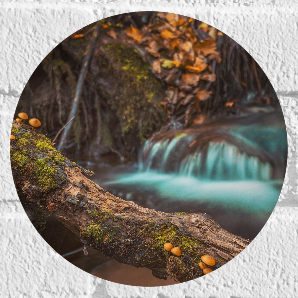 Muursticker Cirkel - Smalle Boomstam voor Rustige Waterval - 20x20 cm Foto op Muursticker