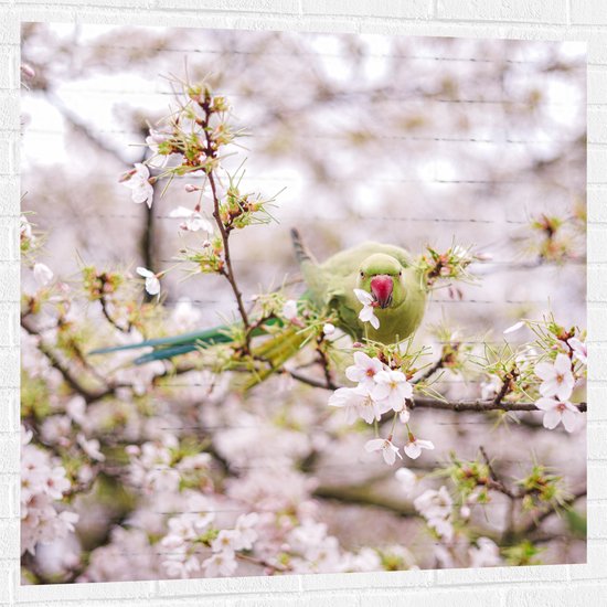 Muursticker - Groene Vogel tussen de Roze Bloesem - 100x100 cm Foto op Muursticker