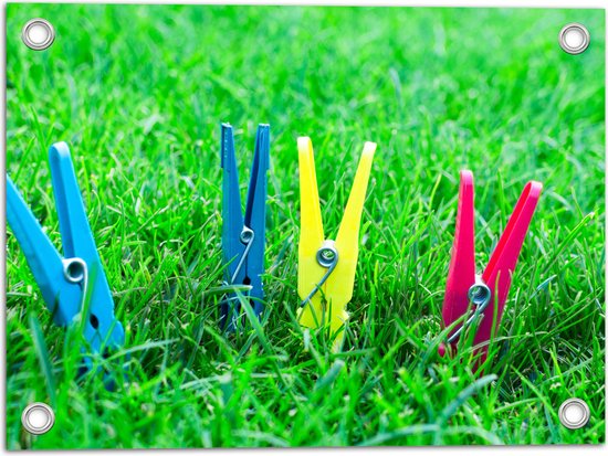 Tuinposter – Gekleurde Wasknijpers in het Gras - 40x30 cm Foto op Tuinposter (wanddecoratie voor buiten en binnen)