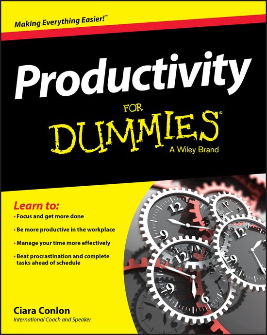 Productivity For Dummies - cover