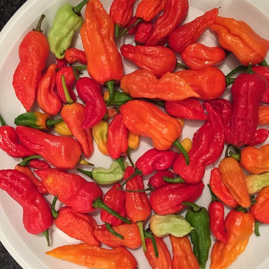 Bhut Jolokia of Ghost pepper peper zaden. Voor het zelf kweken in