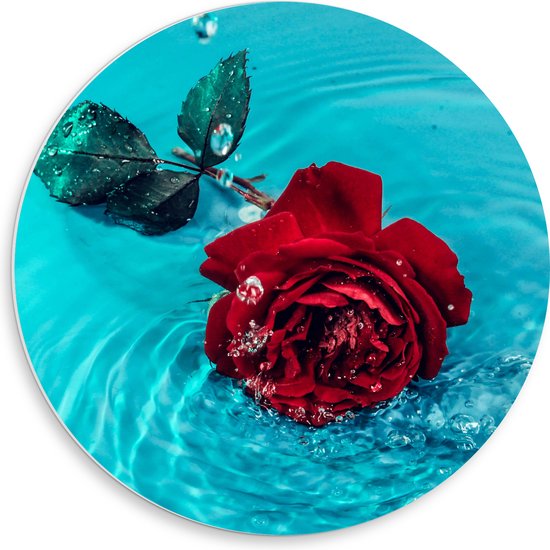 PVC Schuimplaat Muurcirkel - Rode Roos in het Blauwe Water - 50x50 cm Foto op Muurcirkel (met ophangsysteem)