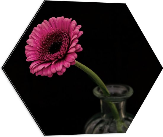Dibond Hexagon - Roze Bloem in Vaas bij Zwarte Achtergrond - 50x43.5 cm Foto op Hexagon (Met Ophangsysteem)