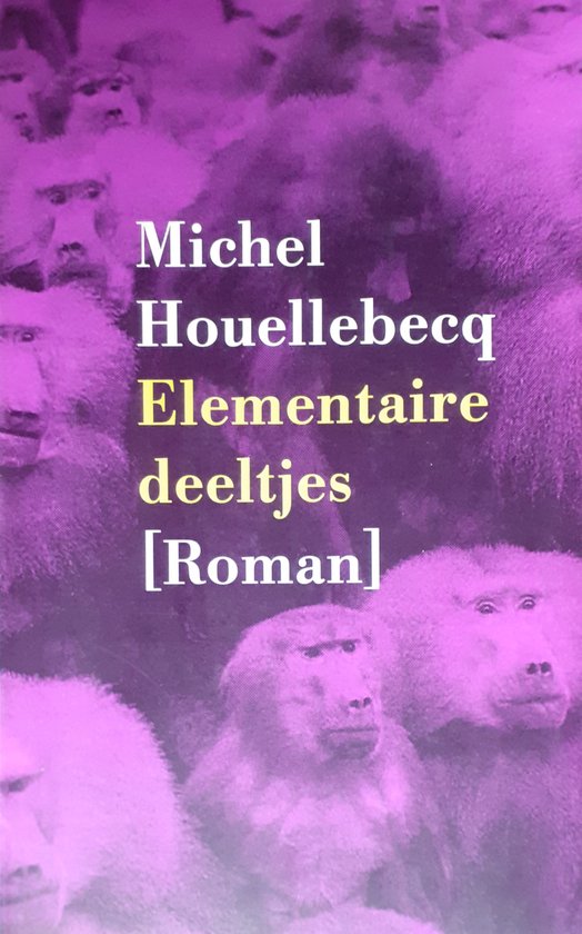 Elementaire Deeltjes / Goedkope Editie - cover