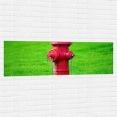 Muursticker - Rode Brandweerpaal in Groen Gras - 150x50 cm Foto op Muursticker