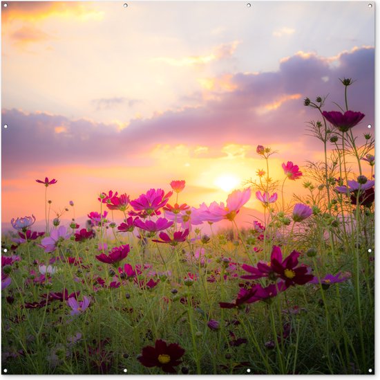 Tuin poster Bloemen - Roze - Zonsondergang - Natuur - Weide - Horizon - 200x200 cm - Tuindoek - Buitenposter
