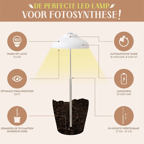 Rayofly Led-plantenlamp, volledig spectrum, 20 W, plantenlicht voor kamerplanten, verstelbare groeilamp met timer 4/8/12 uur, COB plantengloeilamp, staande groeilamp