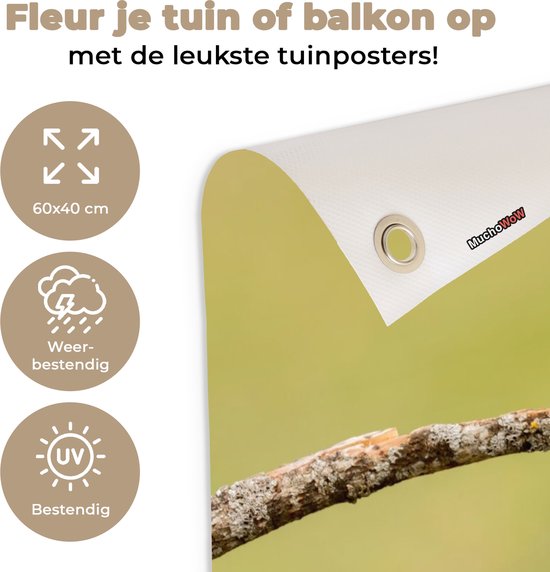 Affiche de Jardin Vogel - Guêpier - Animaux - 60x40 - Toile jardin - Affiche extérieure