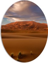 PVC Schuimplaat Ovaal - Woestijn met Zandbergeen - 42x56 cm Foto op Ovaal (Met Ophangsysteem)
