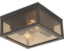 QAZQA charlois – Moderne Plafondlamp voor buiten – 2 lichts – L 24 cm – Brons – Buitenverlichting