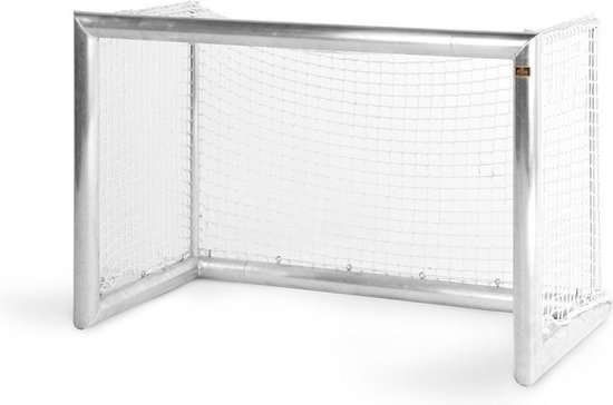 Professioneel Aluminium Goal 300 x 200 cm incl. net