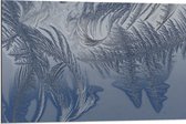 Dibond - Bevroren Vogel Veren - 90x60 cm Foto op Aluminium (Wanddecoratie van metaal)