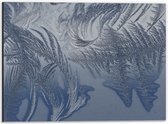 Dibond - Bevroren Vogel Veren - 40x30 cm Foto op Aluminium (Met Ophangsysteem)