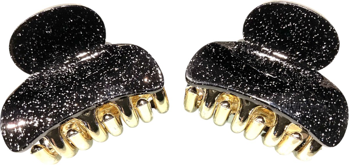 Kleine Haarklemmen - Haarclip - Zwart - 3.7 cm - 2 Stuks (629)