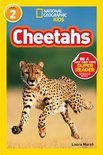 Ngr Cheetahs