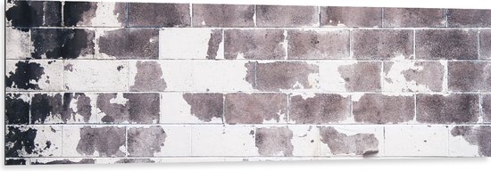 Dibond - Bruine Vlekken op Witte Stenen Muur - 150x50 cm Foto op Aluminium (Wanddecoratie van metaal)