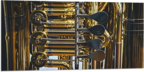 Vlag - Knoppen van Gouden Trompet - 100x50 cm Foto op Polyester Vlag