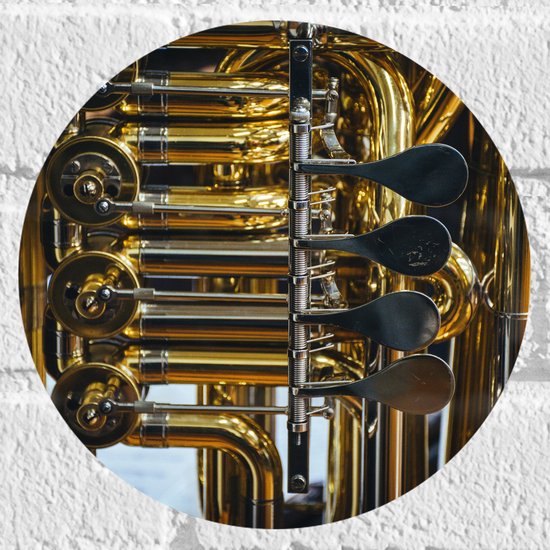 Muursticker Cirkel - Knoppen van Gouden Trompet - 20x20 cm Foto op Muursticker