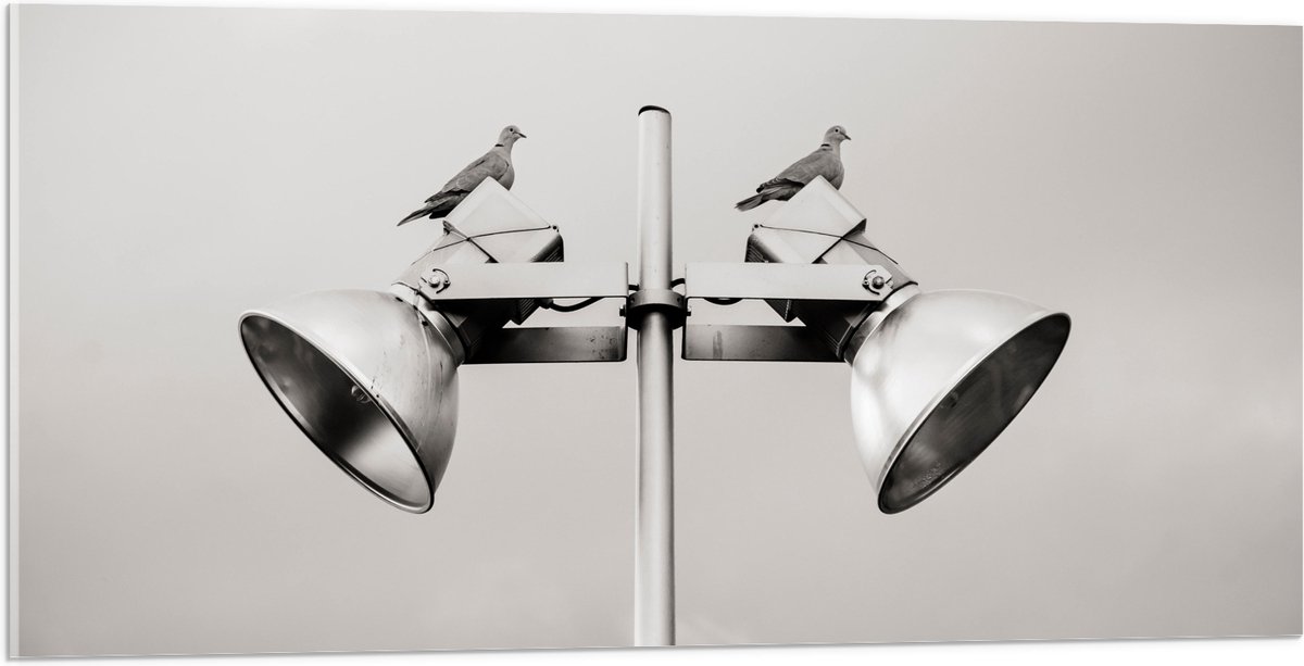 Acrylglas - Grote Speakers op Paal - 100x50 cm Foto op Acrylglas (Met Ophangsysteem)
