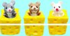 Afbeelding van het spelletje Knijphamster in Kaas anti-stress popup hamster