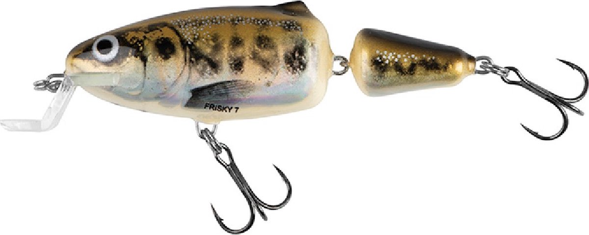 Lok Salmo FR7SR Holographic