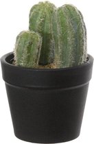 Kunstplant - In Pot - Cactus - In cadeauverpakking met gekleurd lint