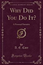 Why Did You Do It?