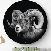 HIP ORGNL Schilderij Aries - Ram - ⌀80cm - Wandcirkel dieren - Zwart wit