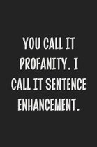 You Call It Profanity. I Call It Sentence Enhancement.