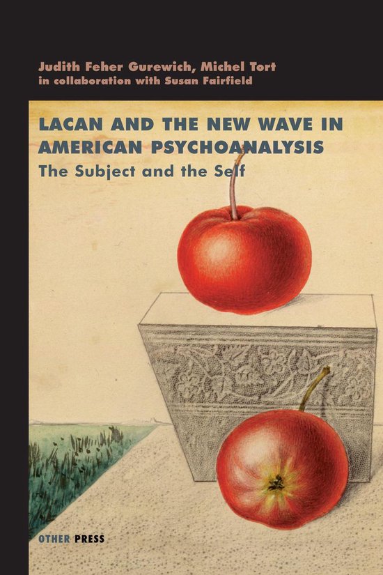 Lacanian Clinical Field - Lacan and the New Wave - cover