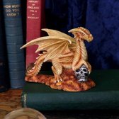 Anne Stokes - Baby Desert Dragon - 11,5cm