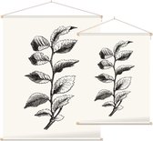 Ulmus Minor zwart-wit 2 (Cornish Elm) - Foto op Textielposter - 60 x 80 cm