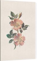 Roos (Rose) - Foto op Canvas - 30 x 45 cm
