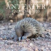 Anteater Calendar 2020